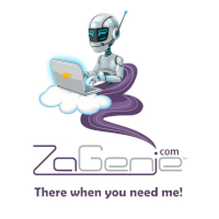 ZaGenie MSP